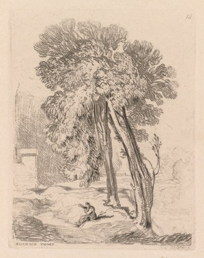 Liber Studiorum: Plate 18, Trees at Norwich Thorp, Norfolk tekijältä John Sell Cotman