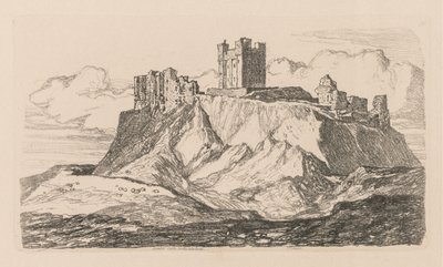 Tutkimuskirja: Plate 30, Bambro