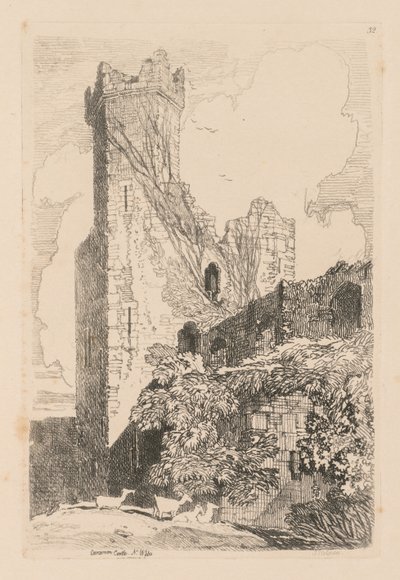 Tutkimuskirja: Plate 32, Caernarvon Castle, N. Wales tekijältä John Sell Cotman
