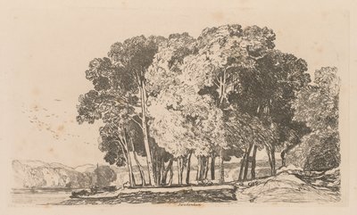 Liber Studiorum: Levy 3, Puut lähellä Twickenhamia tekijältä John Sell Cotman