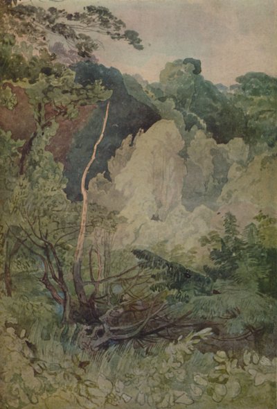 Puut Greta-joen lähellä, 1923 tekijältä John Sell Cotman