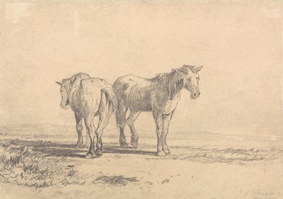 Kaksi vanhaa hevosta seisoo pellolla tekijältä John Sell Cotman