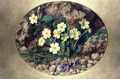 Esikot ja violetit tekijältä John Sherrin
