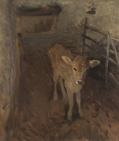 Jerseyvasikka, 1893 tekijältä John Singer Sargent