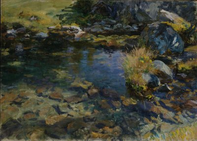 Alppiallas, 1907 tekijältä John Singer Sargent
