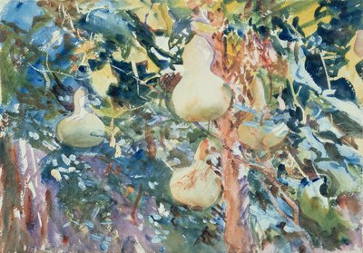 Kurpitsat, n. 1905 (wc paperilla) tekijältä John Singer Sargent