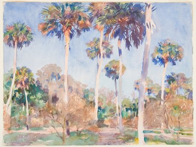 Palms, 1917 (wc grafiitin päällä paperilla) tekijältä John Singer Sargent