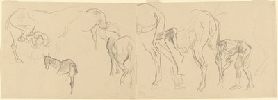 Tutkimuksia Golgatan hevosten kengittämiseksi edessä [recto], 1918. tekijältä John Singer Sargent