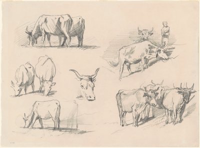 Studies of Nauta, n. 1872. tekijältä John Singer Sargent