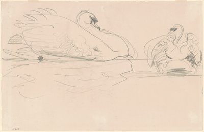 Joutsenet vedessä tekijältä John Singer Sargent