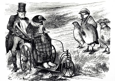 Sarjakuva, joka kommentoi Grouse Shootingin keskeyttämistä, jotta osakekanta voidaan rakentaa uudelleen. Kuvittanut John Tenniel (1820-1914), englantilainen kuvittaja, graafinen humoristi ja poliittinen sarjakuvapiirtäjä tekijältä John Tenniel