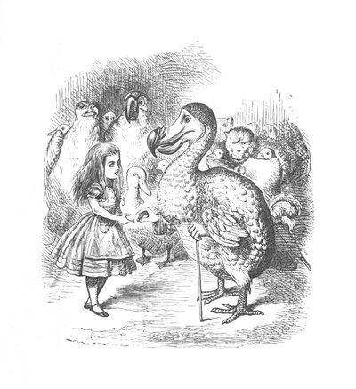Liisa ja Dodo, 1889 tekijältä John Tenniel