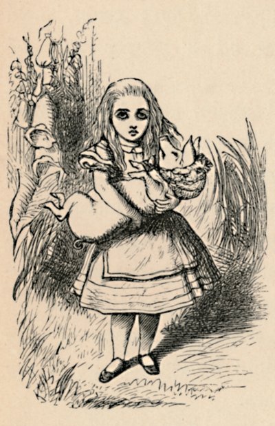 Alice pitelee sikaa sylissään, 1889 tekijältä John Tenniel
