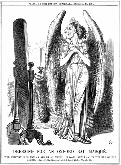 Benjamin Disraeli (1804-81) Britannian konservatiivivaltiomies. "Nyt olen enkelien puolella". John Tenniel sarjakuva Punchista, Lontoosta tekijältä John Tenniel