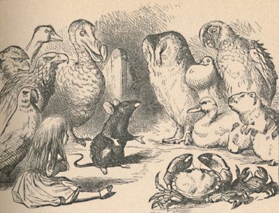 Kuva luvulle Caucus-Race ja pitkä häntä. Alice ja erilaiset olennot, kuten tekijältä John Tenniel