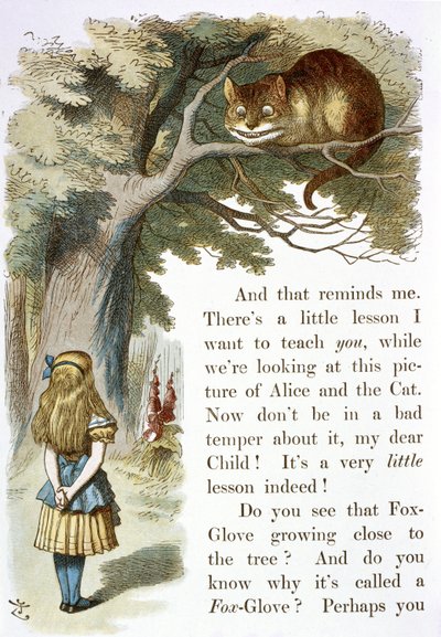 Cheshiren kissa tekijältä John Tenniel
