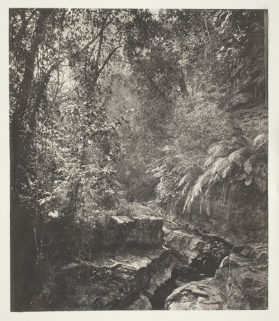 Formosan vuoristosola tekijältä John Thomson