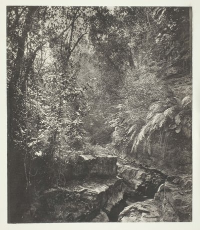 Vuoristosola Formosassa, n. 1868. tekijältä John Thomson