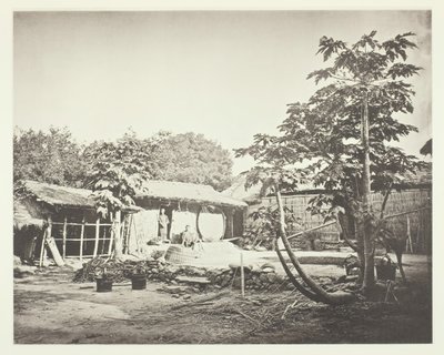 Pepohoan asunto, n. 1868. tekijältä John Thomson