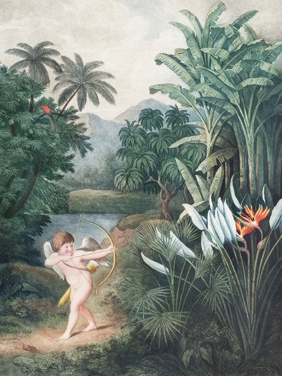 Cupido inspiroi kasveja rakkaudella – teoksesta *Flora-temppeli* (1807), kirjoittanut Robert John Thornton tekijältä John Thornton