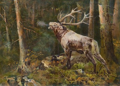  tekijältä John Trivett Nettleship