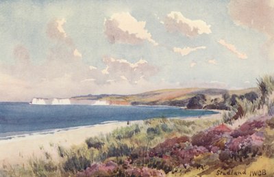 Studland Bay (värilitro) tekijältä John W.G. Bond