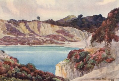 Sininen uima-allas (värilitografia) tekijältä John W.G. Bond