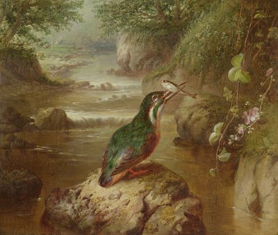 Kingfisherin kummitus tekijältä John Wainwright