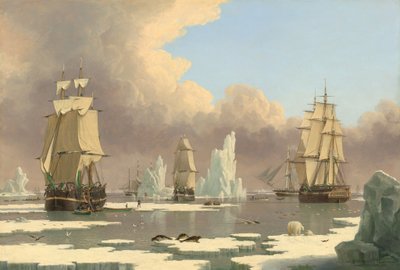Pohjoinen valaiden kalastus: Joutsen ja Isabella, n. 1840. tekijältä John Ward I