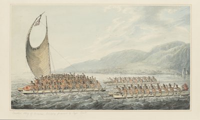 35: Tereoboo, Owyheen kuningas, tuo lahjoja kapteeni Cookille vesivärisarjasta, joka kuvaa kapteeni Cookin viimeistä matkaa, n. 1773-1784 (akvarelli paperille) tekijältä John Webber