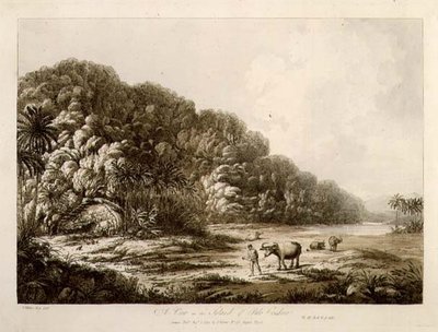 Näkymä Pulo Condorin saarella, pubista Näkymät Etelämerellä. 1792 (etsaus) tekijältä John Webber