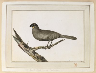 Piirustus Wattle linnusta; tehtiin Uuden-Seelannin vierailun aikana 12.-25. helmikuuta 1777 kapteeni Cookin kolmannella matkalla. tekijältä John Webber