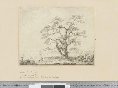 F.44 Näkymä meren rannalla, suuri puu keskellä, n. 1783-84 tekijältä John Webber