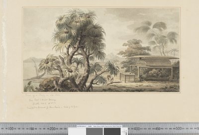 F.46 Näkymä haudasta meren rannalla, n. 1783-84 (akvarelli) tekijältä John Webber
