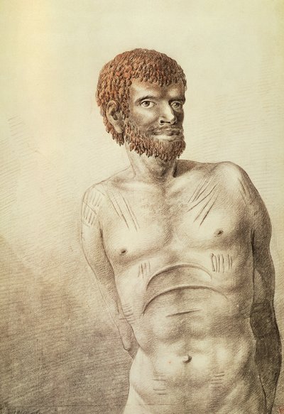 Kotoisin Van Diemenin maasta, nykyisestä Tasmaniasta, tammikuu 1777, piirustus John Webber (1750-1793) Australia tekijältä John Webber