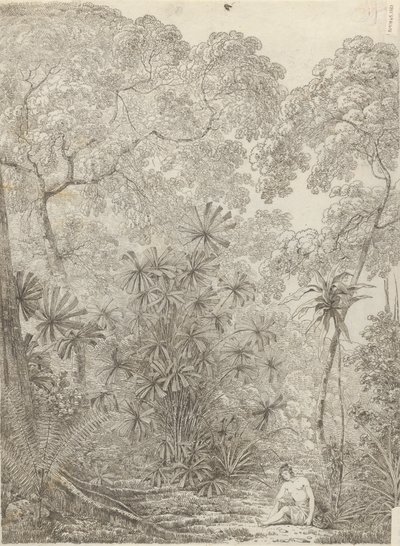 Krakatoa tuuletinpalmu tekijältä John Webber