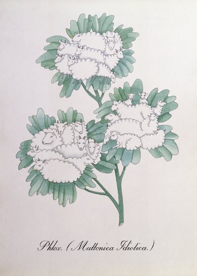 Leimukukka. (Muttonica Idiotica), kuvitus John Weirin teoksesta "The Bogus Book of Botany" tekijältä John Weir