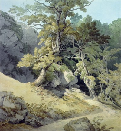 Canonteign, Devon tekijältä John White Abbott