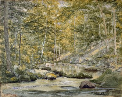 Woodland Pool ja Miesten kalastus, 1870 (wc paperilla) tekijältä John William Hill