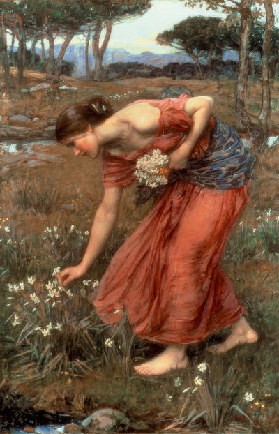 Narsissi tekijältä John William Waterhouse
