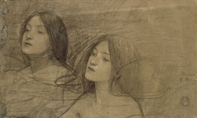 Tutkimus kahdesta nymfistä "Hylas ja nymfit", 1890-luku tekijältä John William Waterhouse