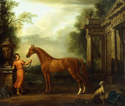 Hampton Courtin kastanjaarabialainen, n. 1726 tekijältä John Wootton