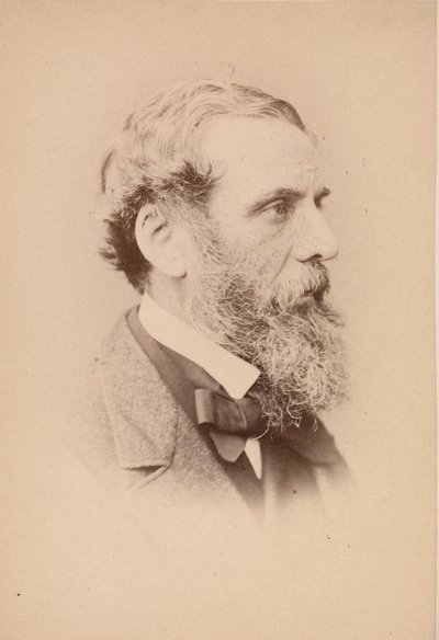 Richard Ansdell, 1860-luku. tekijältä John and Charles Watkins