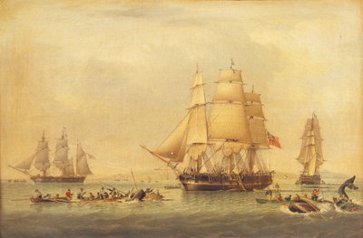Etelämeren kalastuksen valaanpyytäjät, tekijältä John of Hull Ward