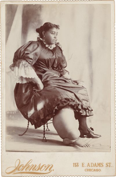 Naisen muotokuva,c. 1890 (kuva) tekijältä Johnson