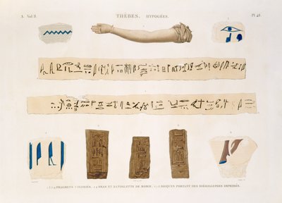 Kuvia hieroglyfikirjoista ja muumion käsivarresta Thebesta, Hypogees, levy 48 julkaisun "Descriptions of Egypt" osasta II, kaiverrettu Charles, 1822 (akvatinta) tekijältä Jomard