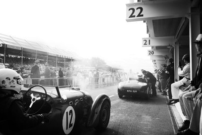 Goodwood Estate West Sussexissa, Iso-Britannia, 2018 (kuva). tekijältä Jon Nicholson