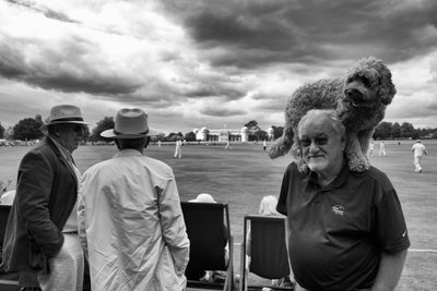 Goodwood Estate West Sussexissa, Iso-Britannia, 2018 (kuva). tekijältä Jon Nicholson