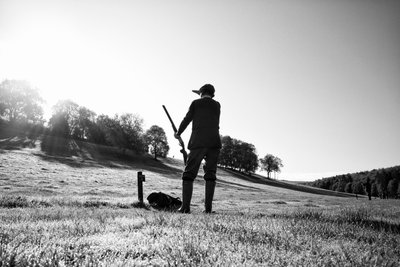 Goodwood Estate West Sussexissa, Iso-Britannia, 2019 (kuva) tekijältä Jon Nicholson