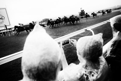 Goodwood Estate West Sussexissa, Iso-Britannia, 2019 (kuva) tekijältä Jon Nicholson